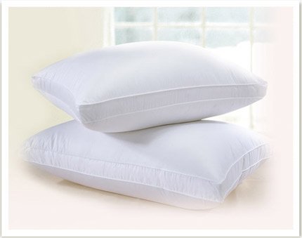 Downright Eclipse Gusseted Pillow, King, 700+ Polish White Goose Down