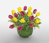 Tulip - Touch of Tulips