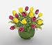 Tulip - Touch of Tulips
