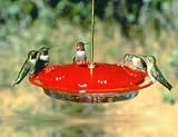 Aspects Hummingbird Hummzinger Feeder - 16 Ounce