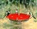 Aspects Hummingbird Hummzinger Feeder - 16 Ounce