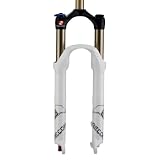 ROCK SHOX Recon Gold RL SoloAir 100mm Blanc/Argent Fourche Vélo de montagne suspendu