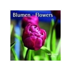 Blumen, Brosch�renkalender 2009; Flowers