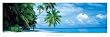 TROPICAL ISLAND - FIHALHOHI ISLANDS MALDIVES - POSTER(Size 13"x38")