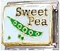 Clearly Charming Sweet Pea Italian Charm Bracelet Link