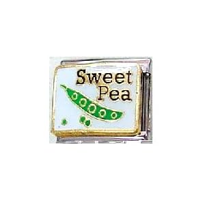 Buy Clearly Charming Sweet Pea Charm Bracelet Link by Clearly Charming