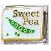 Clearly Charming Sweet Pea Italian Charm Bracelet Link