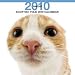 2010ǯ���� THE CAT �������� �����ƥ��å���ե������ 