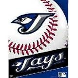 Toronto Blue Jays Banner
