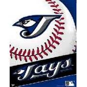 Toronto Blue Jays Banner