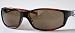 Mens Bifocal Wraparound Sunreaders in Tortoise