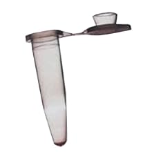 Edvotek 642 0.2mL Thin-Walled PCR Microtest Tube (Pack of 100)