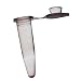 Edvotek 642 0.2mL Thin-Walled PCR Microtest Tube (Pack of 100)