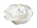 Biedermann & Sons 12 Rose-shaped Floating Candles In White