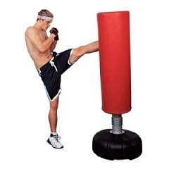 Energetics Punch Boxtrainer