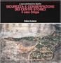 Sicurezza e conservazione dei centri storici: Il caso Ortigia : codice di pratica per gli interventi antisismici nel centro storico (Misure) (Italian Edition)