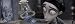 CORPSE BRIDE - Bell Jar - 12x36 - PANORAMIC POSTER