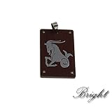 316L Stainless Steel Pendant - Capricorn