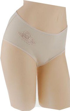 Barely Breezies Wisteria Applique Brief Style Panty Barely Breezies Wisteria Applique Brief Style Panty