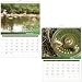 Fishing 2012 Calendar