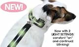 Lighted LED Dog Leash-green