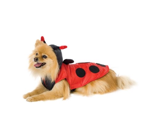 Ladybug Jacket Puppy Costume