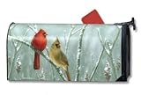 Snow Cardinals Mailwrap - B000XK2XZM