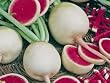 Watermelon Red Radish 200 + Seeds GARDEN FRESH PACK