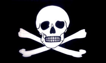 - 3x5ft Polyester Pirate Poison New Flag #F1236