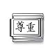 Kanji Symbol "Esteem" Italian charm