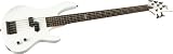 ESP LTD