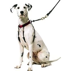 Sporn No Pull Halter Mediun Black