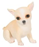 Puppies
