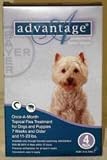 Advantage - Teal for Dogs 11-20 lbs 4pk