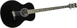 Acoustic Bass Guitars