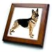 Dogs German Shepherd - German Shepherd - Framed Tiles