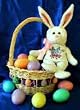 Star # 81 Easter Bunny Bear