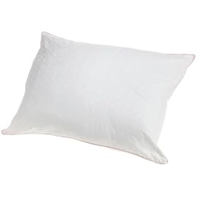 Carpenter Elegant Sleep Twin Pack Sleeping Pillow