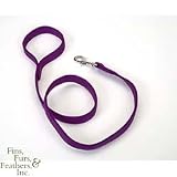 Coastal Pet Double-Ply Nylon Dog Leash / Lead (Purple, 4 ft. L x 1 inch W)