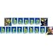 How to Train Your Dragon, Birthday Banner, 8.4 Ft Long