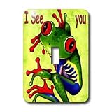 Kids Stuff - Frog I see You - Light Switch Covers - single toggle switch