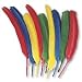 Quill Feathers, Assorted Colors, 24 Feathers per Pack