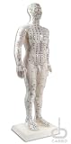 CARBO - Acupuncture Male Model 50cm (20)