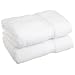 Superior 900 Gram Egyptian Cotton 2-Piece Bath Towel Set, White