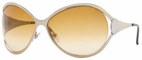 Versace Women's Oval Wrap Around VE2098 1221/2l Sunglasses