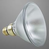 45 WATTS PAR38 HALOGEN 130 VOLTS