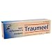 Personal Health Care : Heel Inc Traumeel, Ointment 50 gm