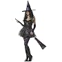 California Costume Rebel Toons Wicked Witch of the West Costume (no boots/broom)