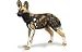 Safari 239729 African Wild Dog Animal Figure- Pack of 6