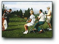 sport seat walking stick portable seat